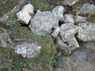 Fuente del Pinillo - imagen 4