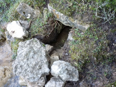 Fuente del Pinillo - imagen 5