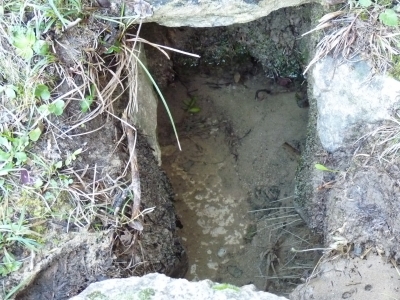 Fuente del Pinillo - imagen 6