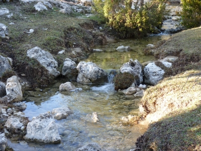 Fuente del Pinillo - imagen 7