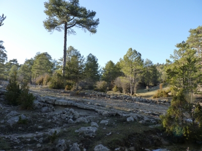 Fuente del Pinillo - imagen 8