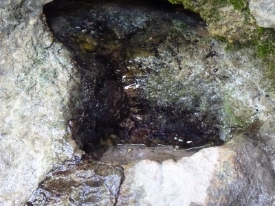 Fuente de la Poza del Tío Mercedes - imagen 4