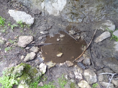 Fuente de la Poza del Tío Mercedes - imagen 6
