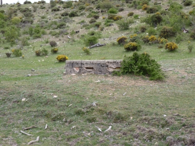Pozo de coronillas II - imagen 1