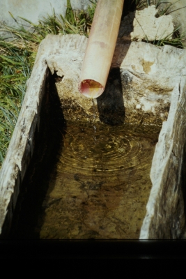 Fuente del Pozo - imagen 3
