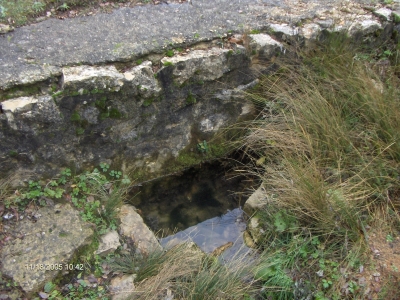Fuente del Rey - imagen 1