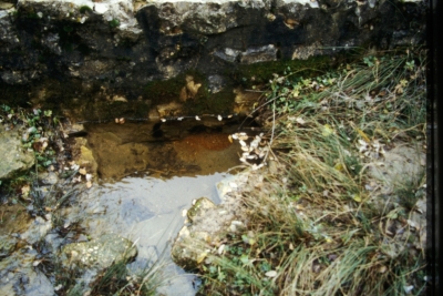 Fuente del Rey - imagen 2