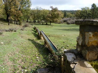 Fuente del Rincón del Rey - imagen 4
