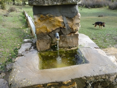 Fuente del Rincón del Rey - imagen 5