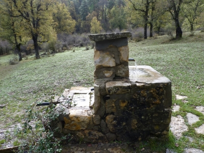 Fuente del Rincón del Rey - imagen 6