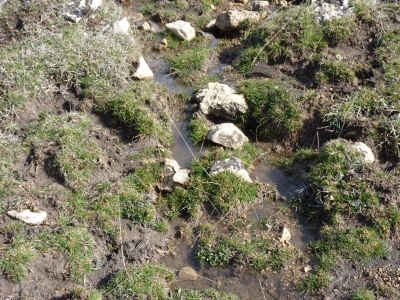 Fuente de la Soriana - imagen 3