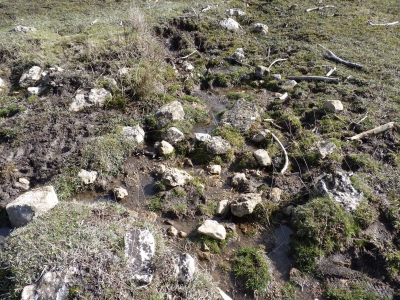 Fuente de la Soriana - imagen 6