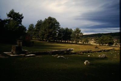 Fuente del Tejo - imagen 2