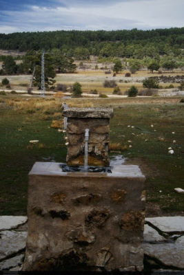 Fuente del Tejo - imagen 3