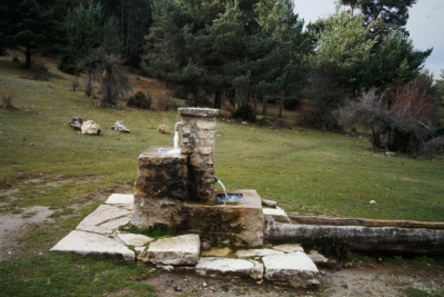 Fuente del Tejo - imagen 4