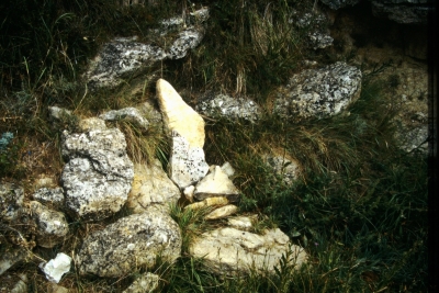 Fuente del Tío Mercedes - imagen 1