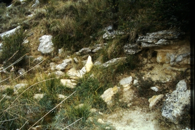 Fuente del Tío Mercedes - imagen 2