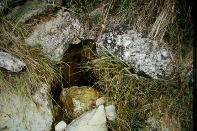 Fuente del Tío Mercedes - imagen 3