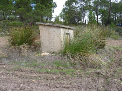 Fuente de la Aliaga - imagen 1