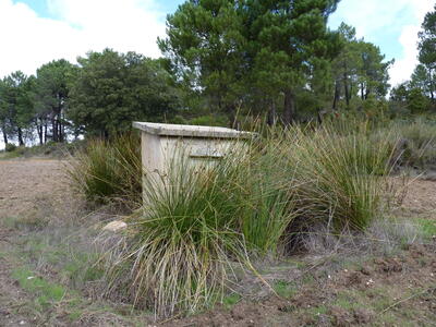 Fuente de la Aliaga - imagen 2