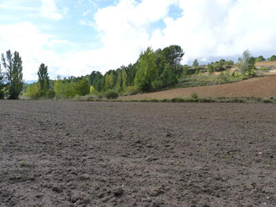 Fuente de la Aliaga - imagen 3