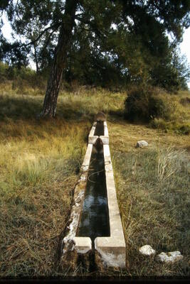 Fuente de la Cañá de los Oncejos I - imagen 1