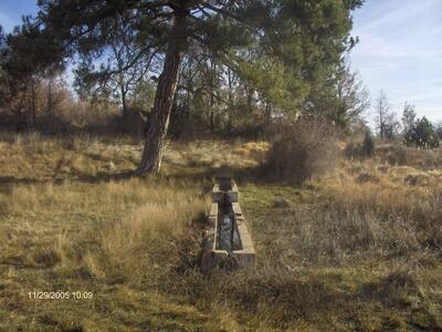 Fuente de la Cañá de los Oncejos I - imagen 2