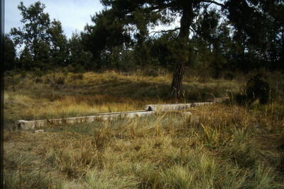 Fuente de la Cañá de los Oncejos I - imagen 4