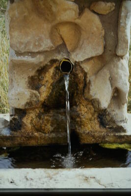 Fuente de la Cañá de los Oncejos II - imagen 4