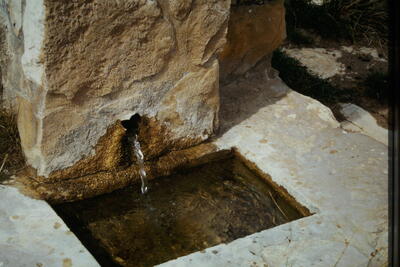 Fuente de la Cañá de los Oncejos II - imagen 6