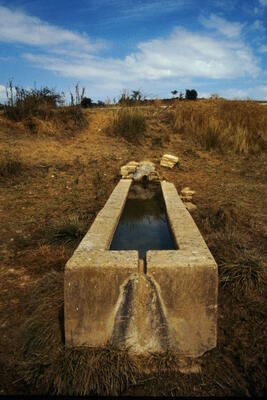 Fuente de la Cañada del Cubillo - imagen 2