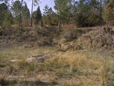 Fuente de los Castillejos - imagen 2