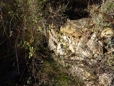 Fuente de los Castillejos - imagen 4