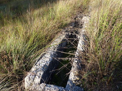 Fuente de los Castillejos - imagen 6