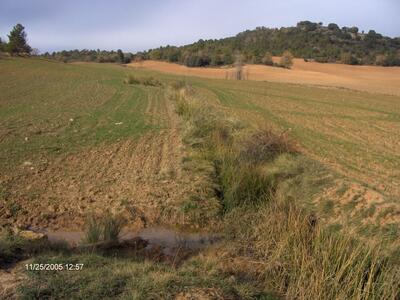 Fuente del Cubillo Barbelloso - imagen 1