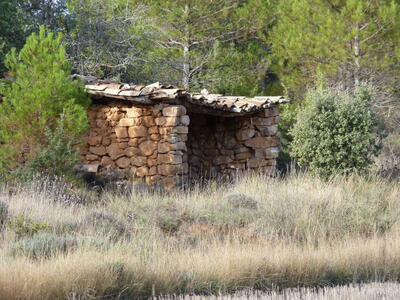 Fuente del Cubillo Barbelloso - imagen 10