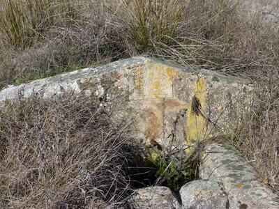 Fuente del cubillo de la Cañá Izquierda - imagen 3