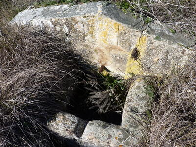 Fuente del cubillo de la Cañá Izquierda - imagen 5