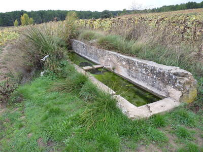 Fuente del Cubillo García - imagen 1