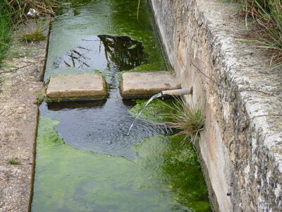Fuente del Cubillo García - imagen 4