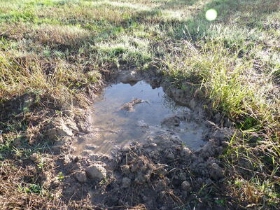 Fuente del Cubillo Predio - imagen 3