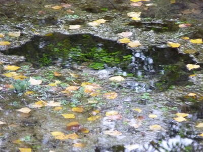 Fuente Grande - imagen 6
