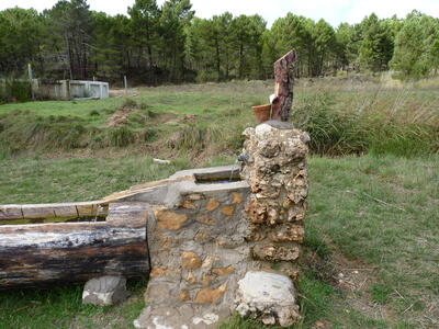 Fuente Peñuela - imagen 2