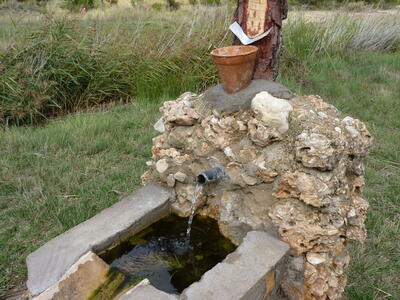 Fuente Peñuela - imagen 4
