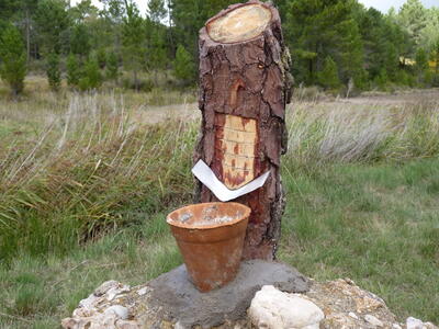 Fuente Peñuela - imagen 6