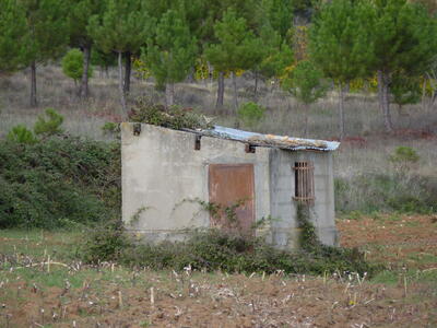 Fuente del Peral - imagen 4