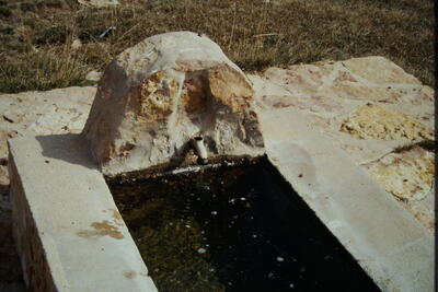 Fuente del Saz (nueva) - imagen 3