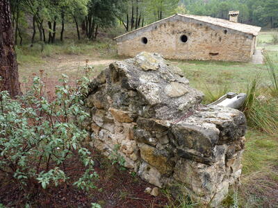 Fuente del Tejar - imagen 4