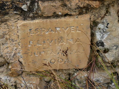 Fuente del Tejar - imagen 6