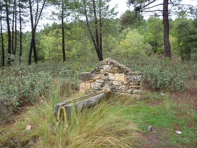 Fuente del Tejar - imagen 8